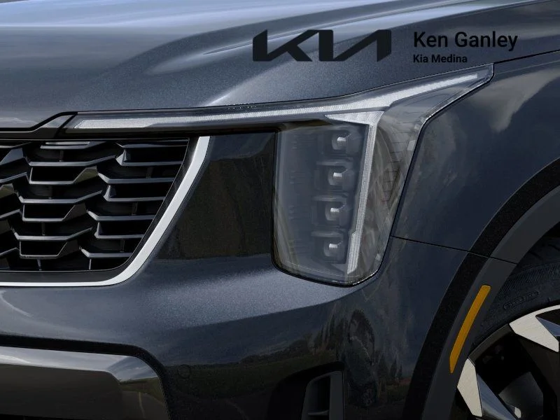 New 2026 Panthera Metal Kia EX image 10