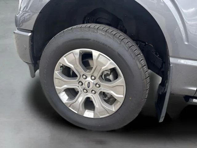 Used 2021 Gray Ford Platinum image 20