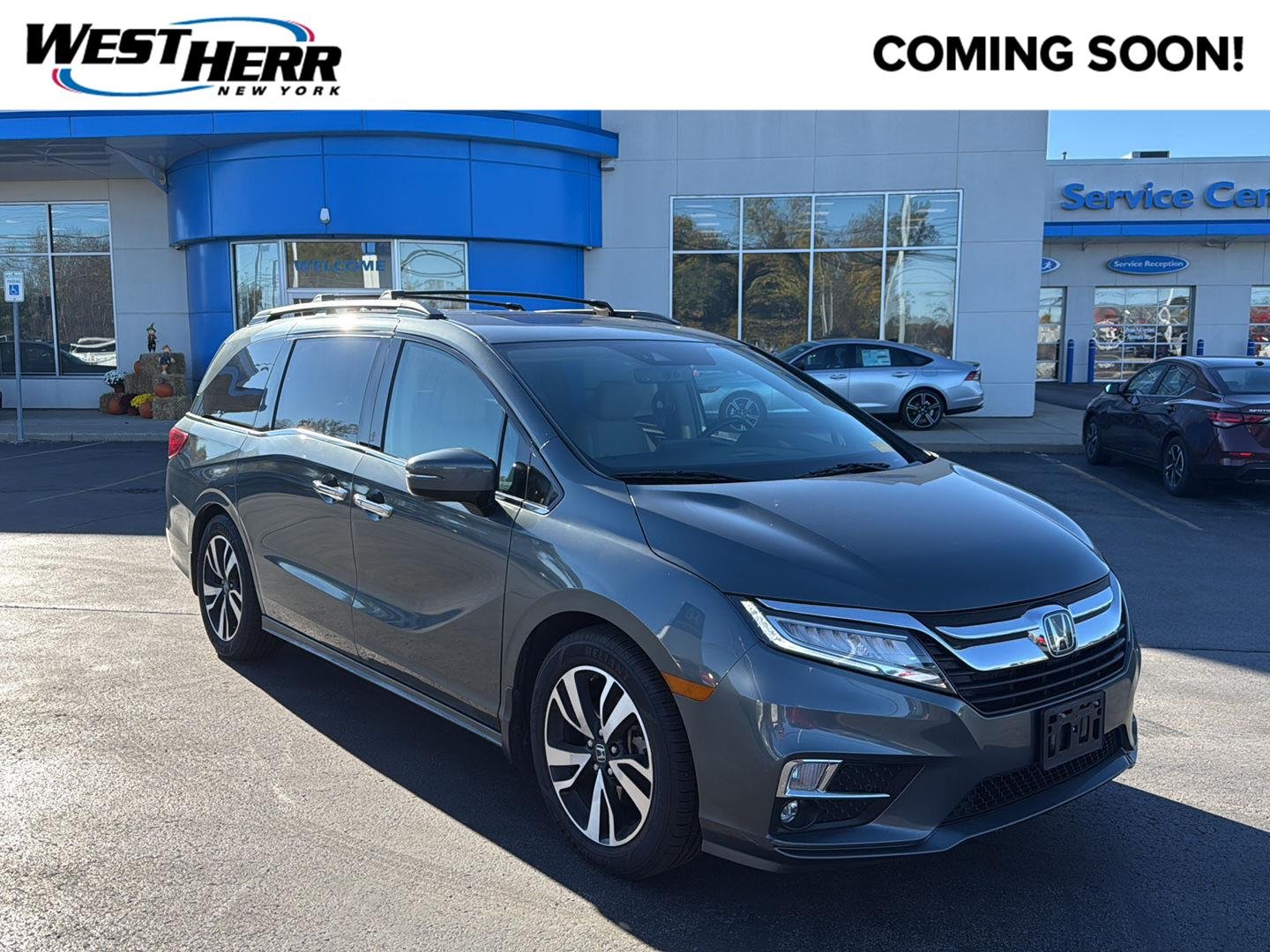 Used 2020 Forest Mist Metallic Honda Elite image 1