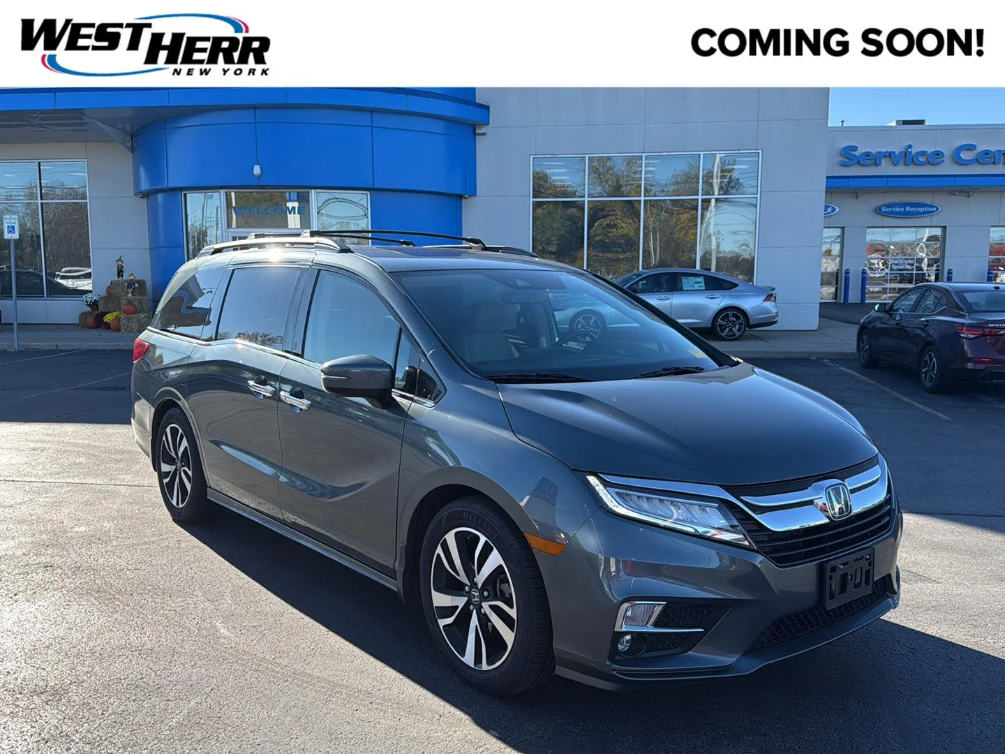Used 2020 Forest Mist Metallic Honda Elite image 1