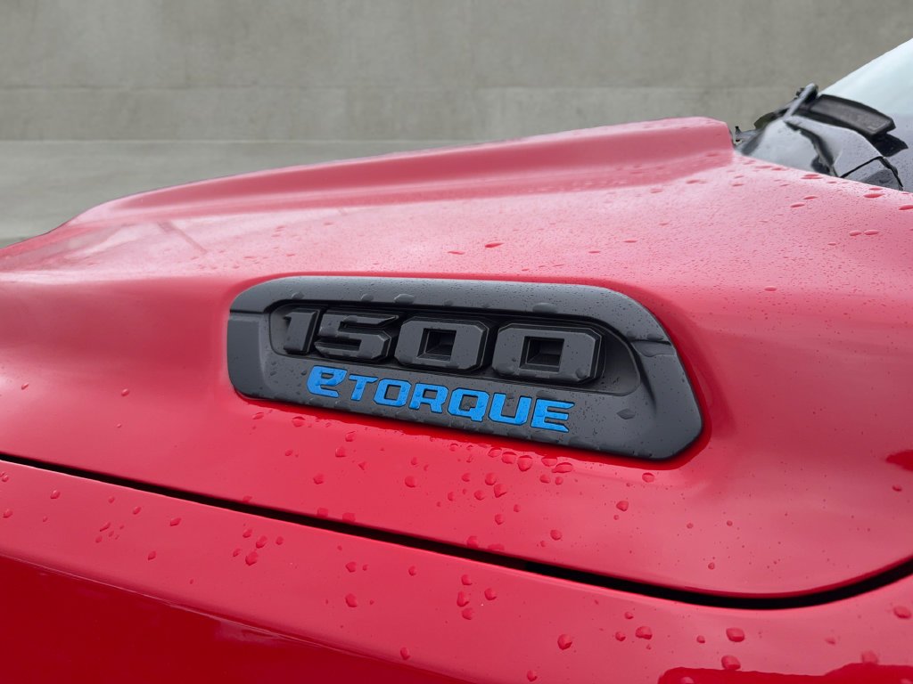 Used 2025 Red Ram Tradesman image 8