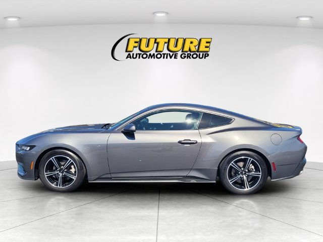 Used 2024 Gray Ford EcoBoost Premium image 6