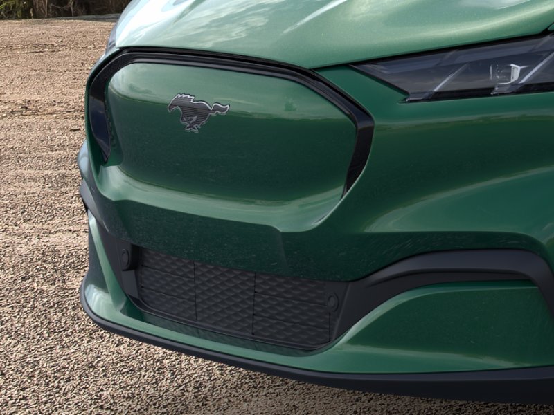 New 2026 Eruption Green Metallic Ford Premium image 39