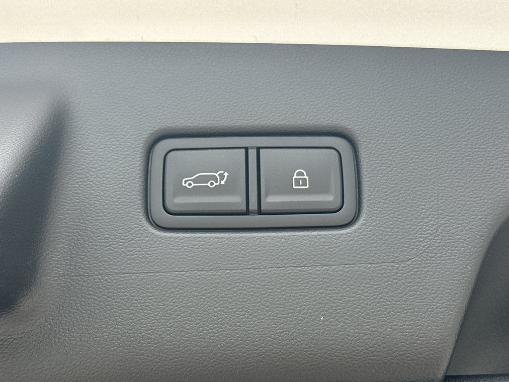 New 2026 Creamy White Pearl Hyundai Calligraphy image 40