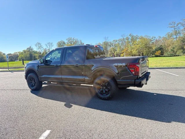 New 2026 Agate Black Metallic Ford Lariat® image 4