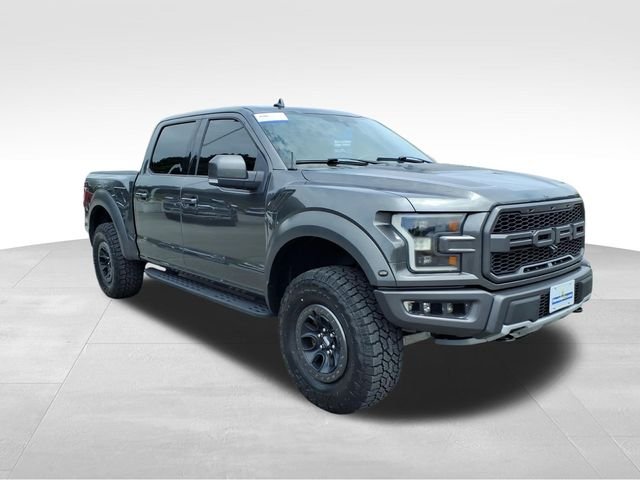 Used 2019 Gray Ford Raptor image 14