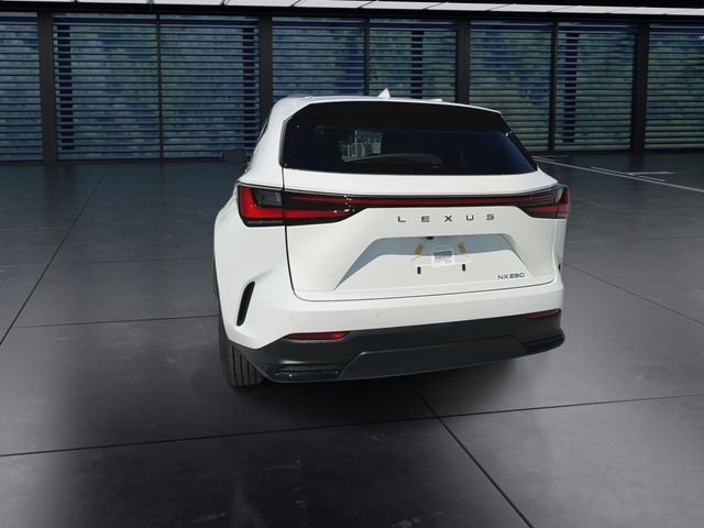 Certified Used 2025 White Lexus 250 Premium image 7