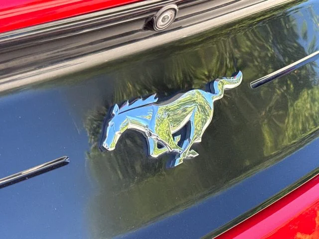 Used 2019 Red Ford EcoBoost image 10