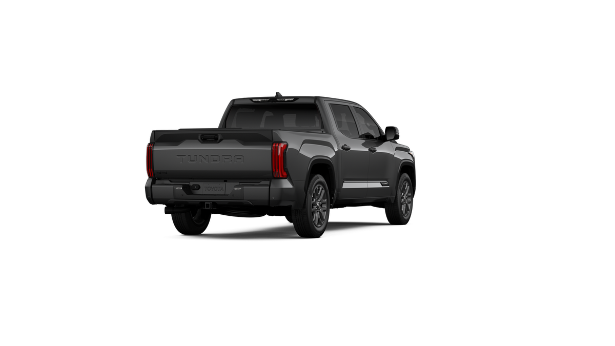 New 2026 Magnetic Gray Metallic Toyota Platinum image 9