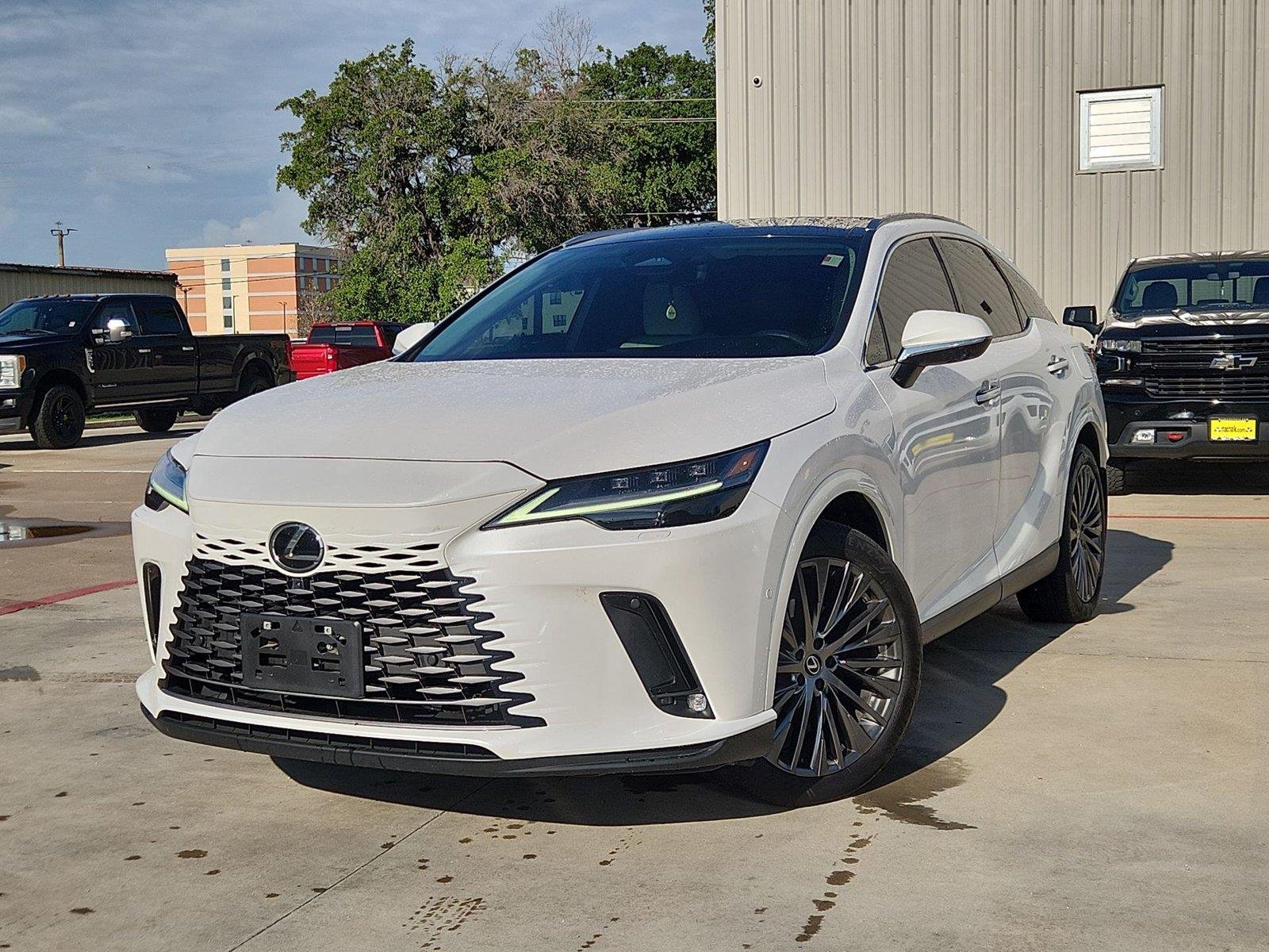 2023 Lexus RX