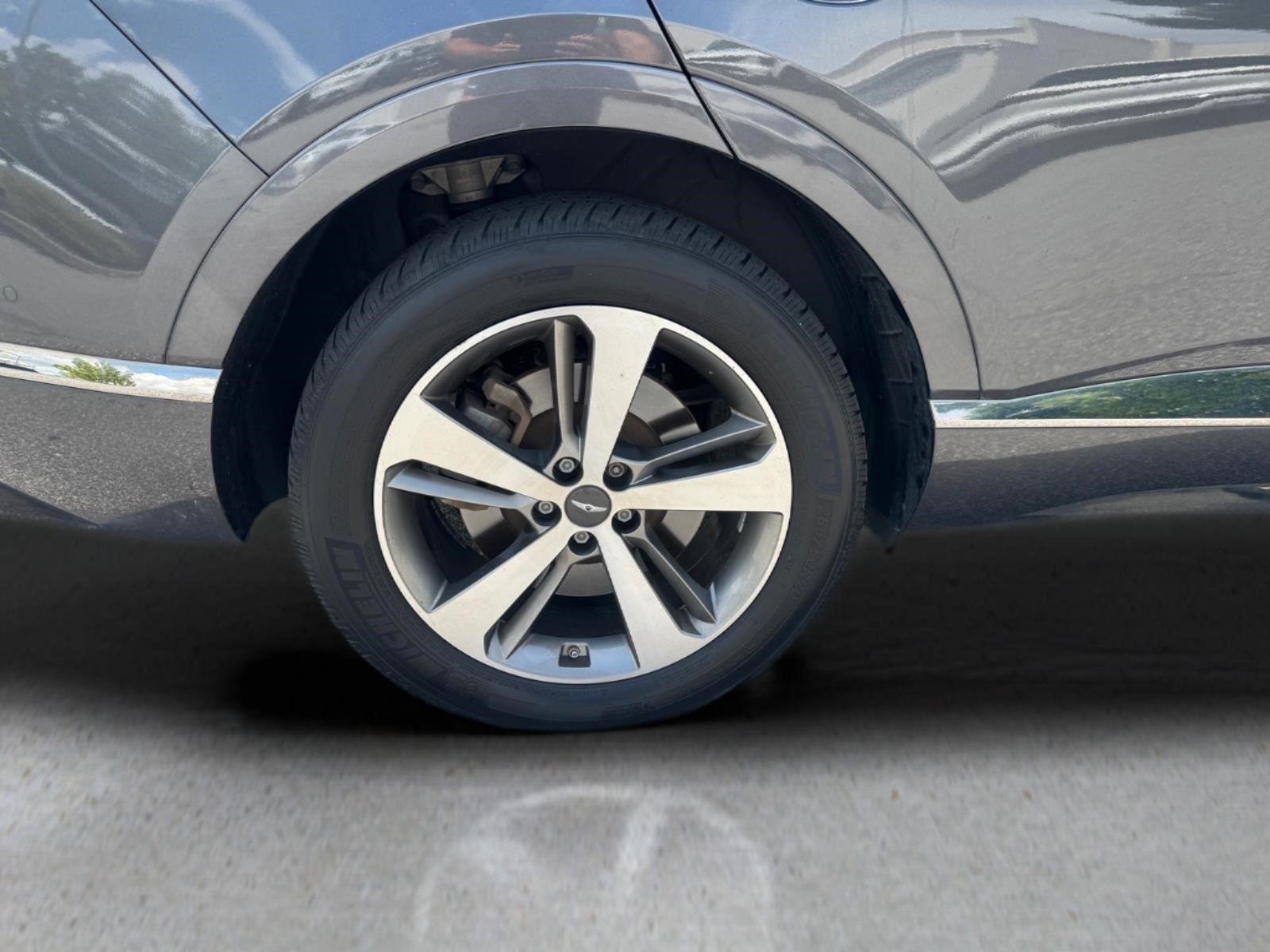 Used 2021 Himalayan Gray Genesis Advanced + image 16