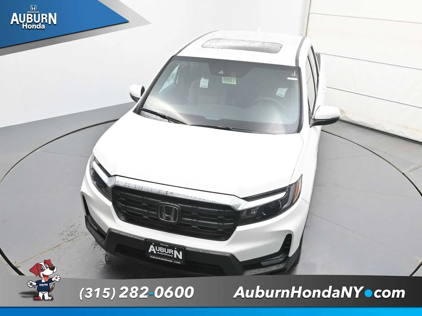 New 2026 Platinum White Pearl Honda RTL image 26