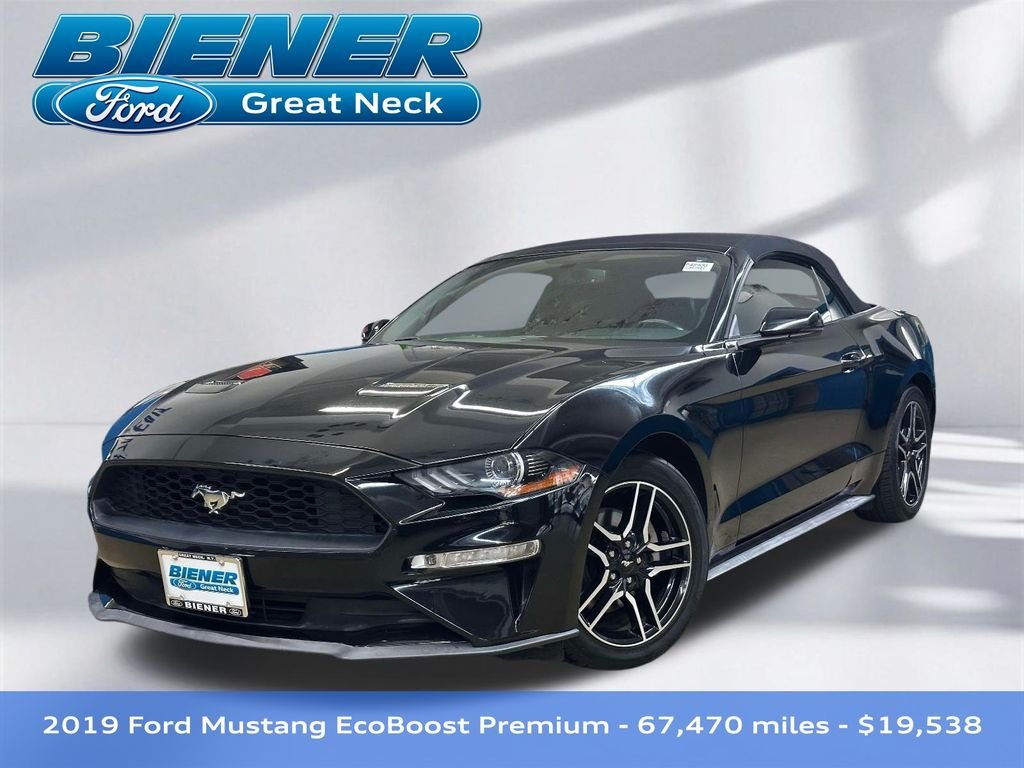 Used 2019 Shadow Black Ford EcoBoost Premium image 1