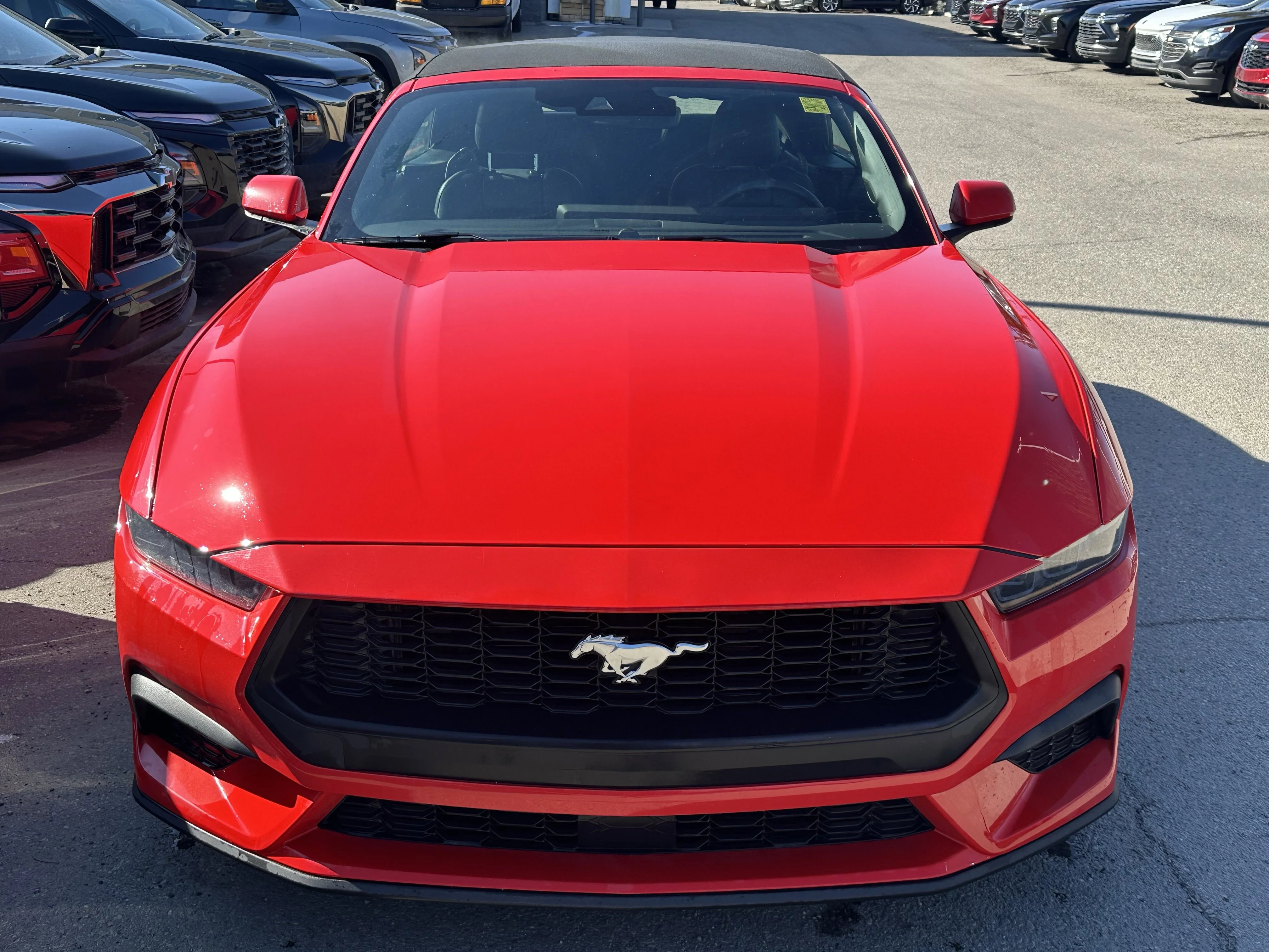 Certified Used 2025  Ford EcoBoost Premium image 2