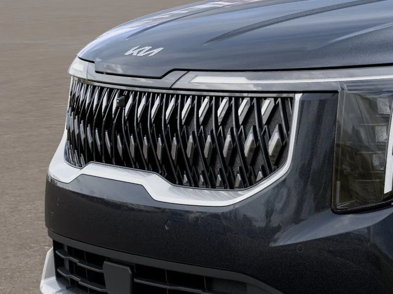 New 2026 Panthera Metal Kia LXS image 12