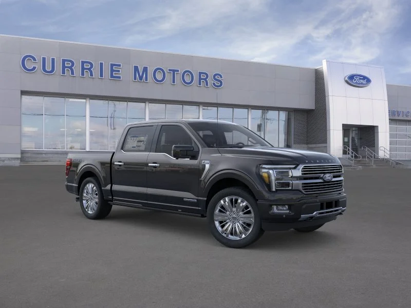 New 2026 Agate Black Metallic Ford Platinum image 7