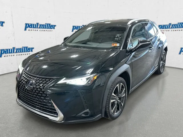 2019 Lexus UX 300h 250h AWD's photo