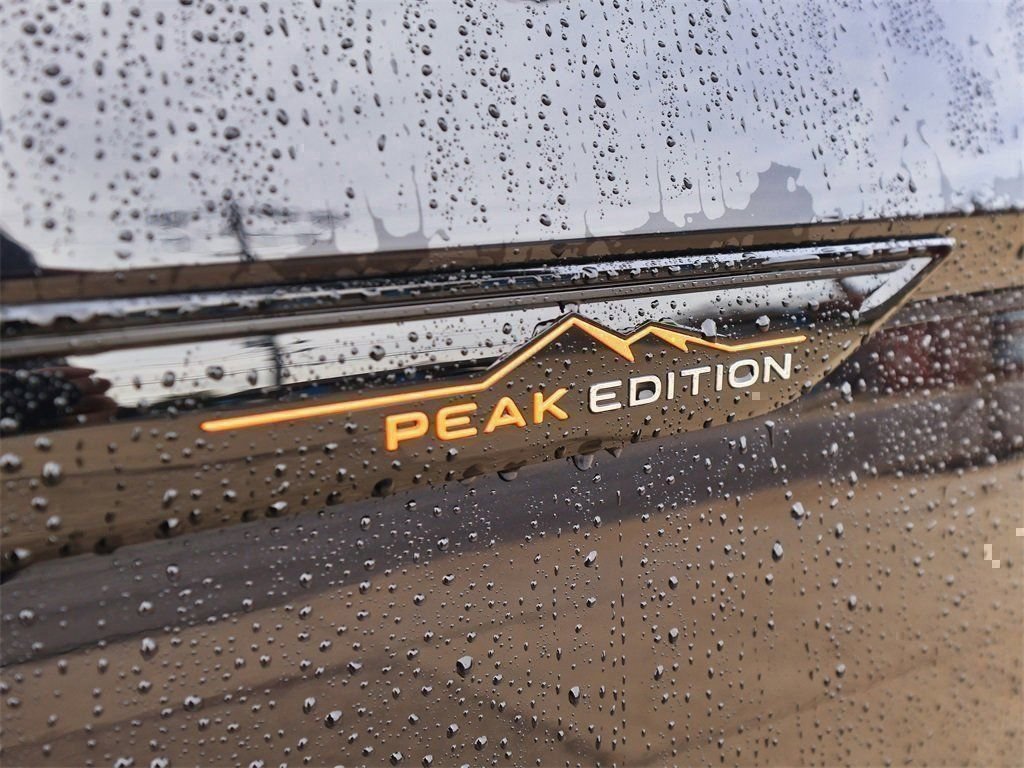 New 2026 Black Volkswagen 2.0T Peak Edition image 9