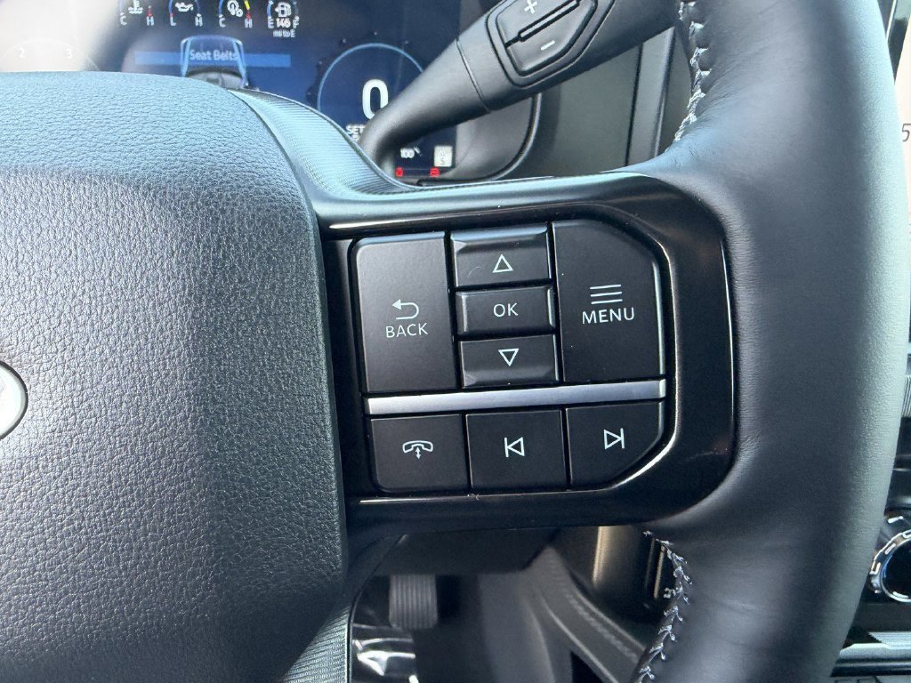 New 2026 Agate Black Metallic Ford F-250® Platinum® image 32