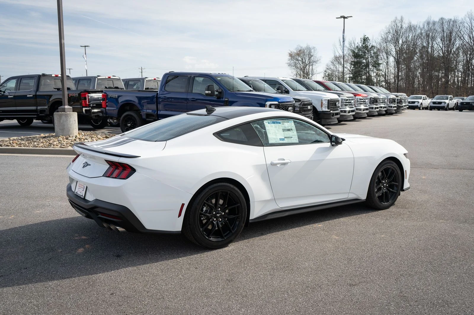 New 2026 Oxford White Ford EcoBoost® Fastback image 10