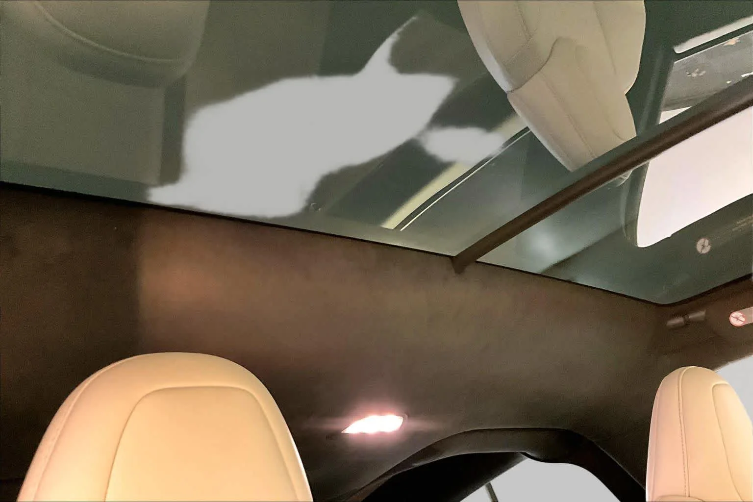 Used 2024 Pearl White Multi-Coat Tesla  image 12