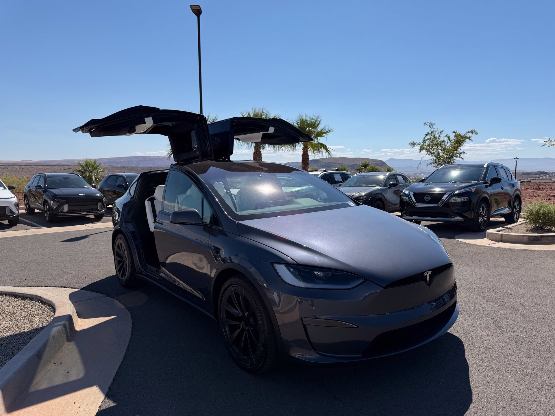 2023 Tesla Model X Long Range