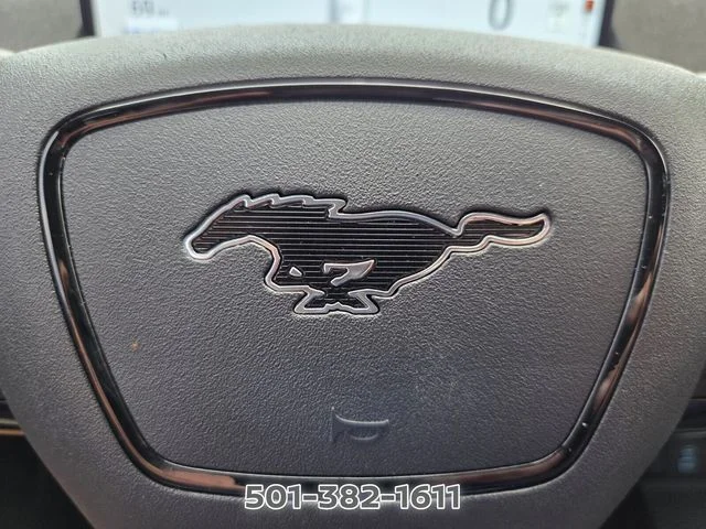 Used 2024 Gray Ford Premium image 36