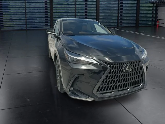 Used 2024 Black Lexus 250 Premium image 3