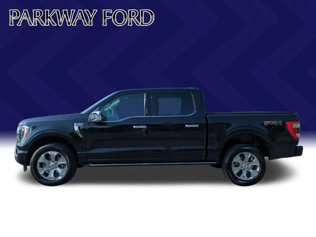 Used 2023 Black Ford Platinum image 2