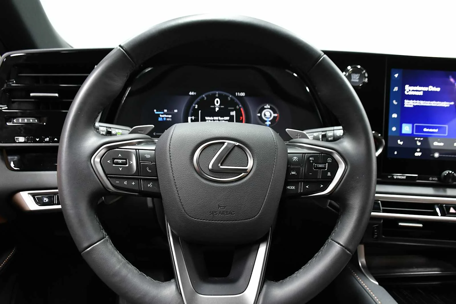 2025 Lexus RX 350 - Photo 17