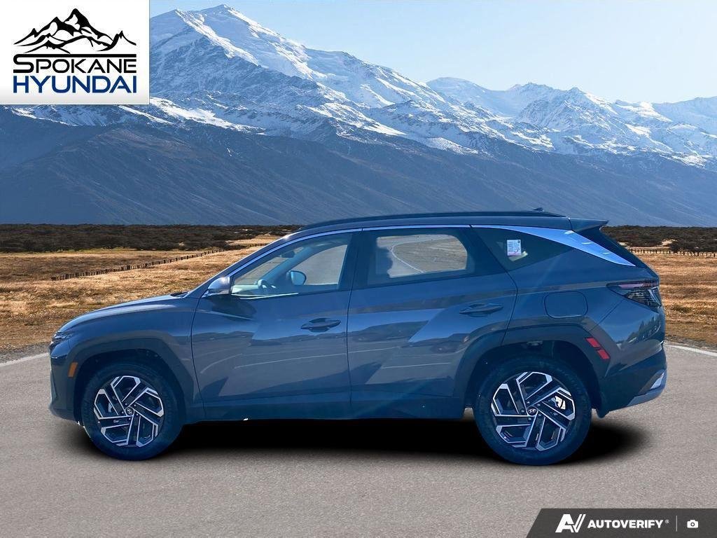 New 2026 Ecotronic Gray Hyundai Limited image 2