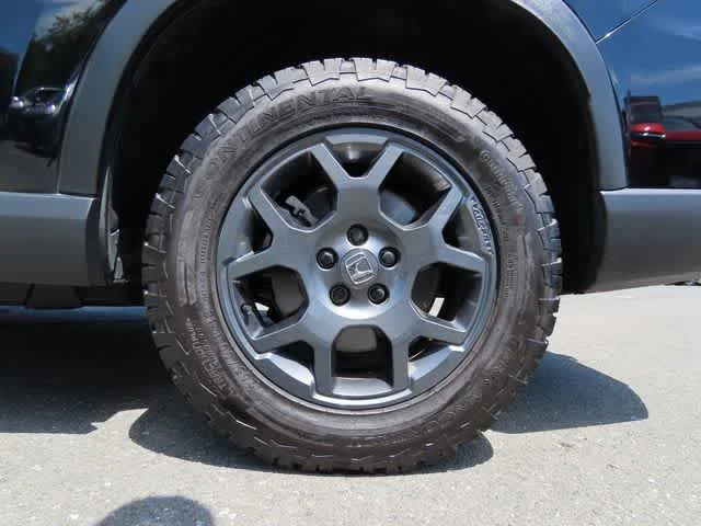 Photo 10