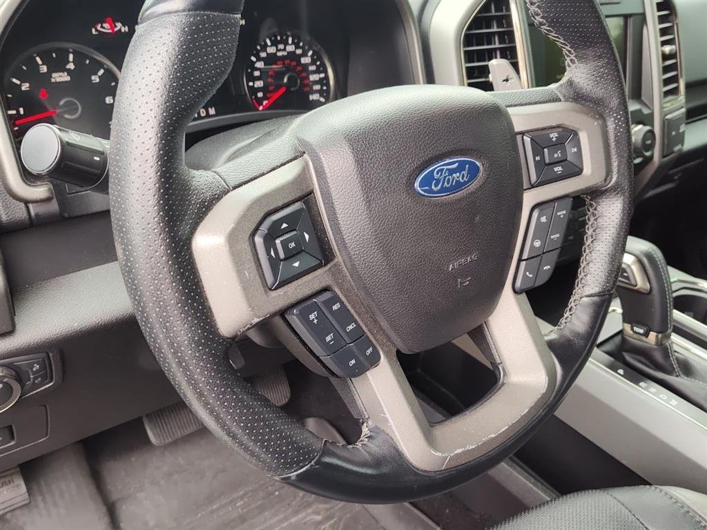 Used 2018 Magnetic Ford Raptor image 10