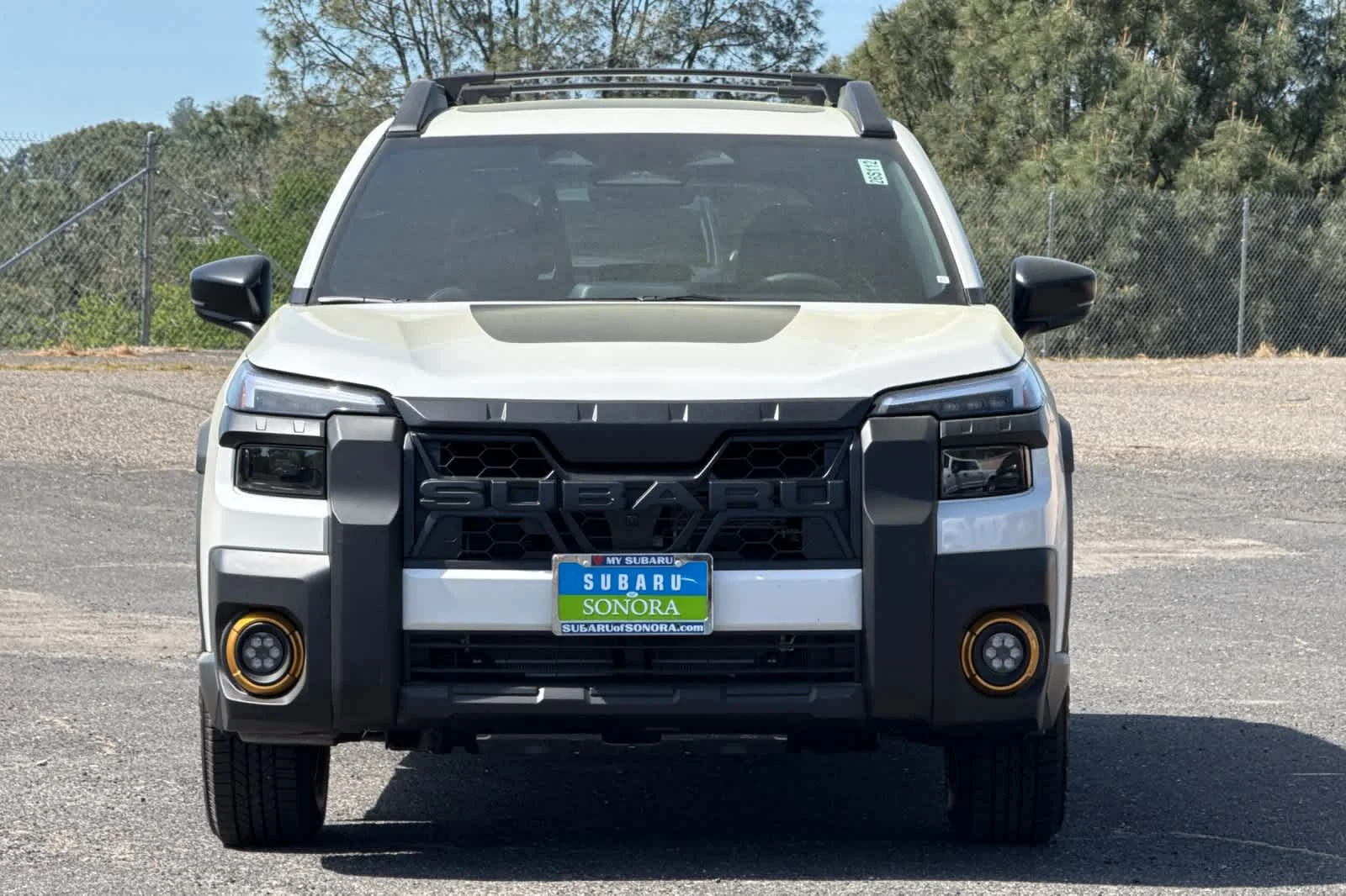 New 2026 CRYSTAL WHITE PEARL Subaru Wilderness image 8