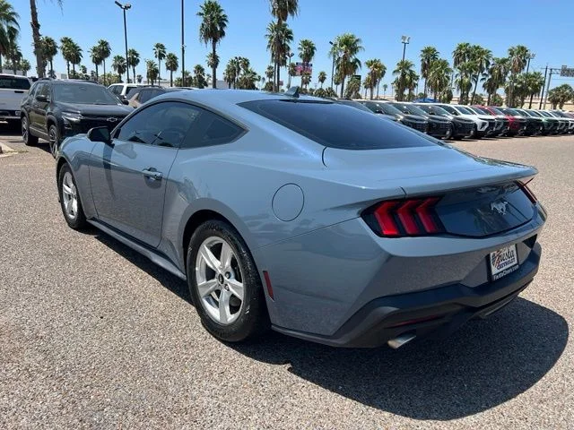 Used 2024 Blue Ford EcoBoost image 5
