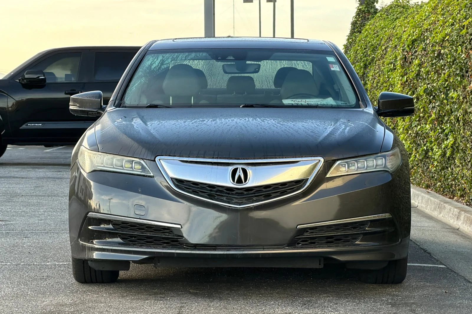 Used 2016 Blue Acura Tech image 10