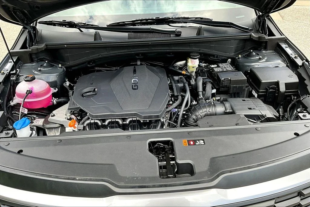 New 2026 Panthera Metal Kia LX image 11