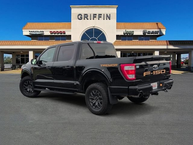 2022 Ford F-150 Tremor - Photo 9