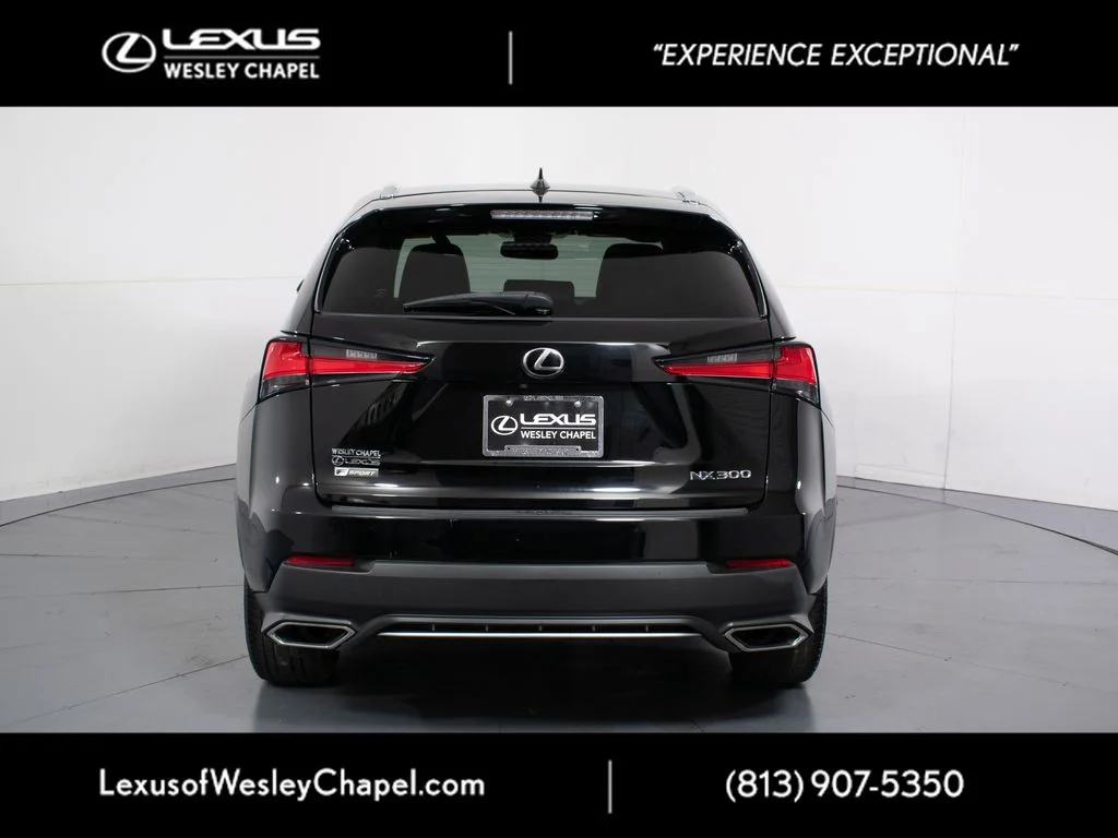 Used 2018 Black Lexus 300 F Sport image 7