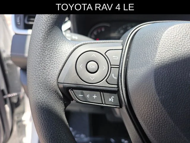 2025 Toyota RAV4 LE - Photo 28