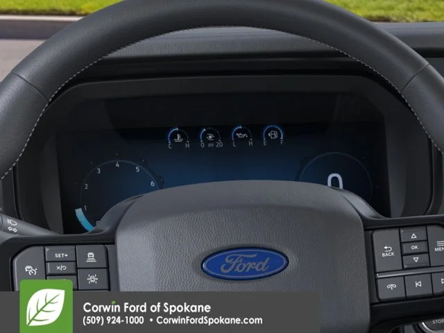New 2026 Antimatter Blue Metallic Ford Platinum image 13