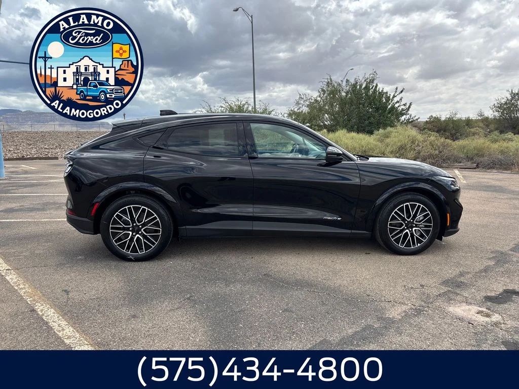 New 2026 Shadow Black Ford Premium image 6