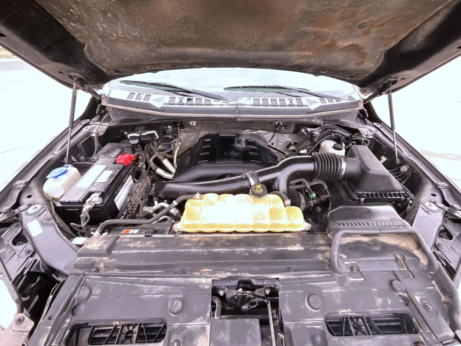 Used 2016 Brown Ford XLT image 23