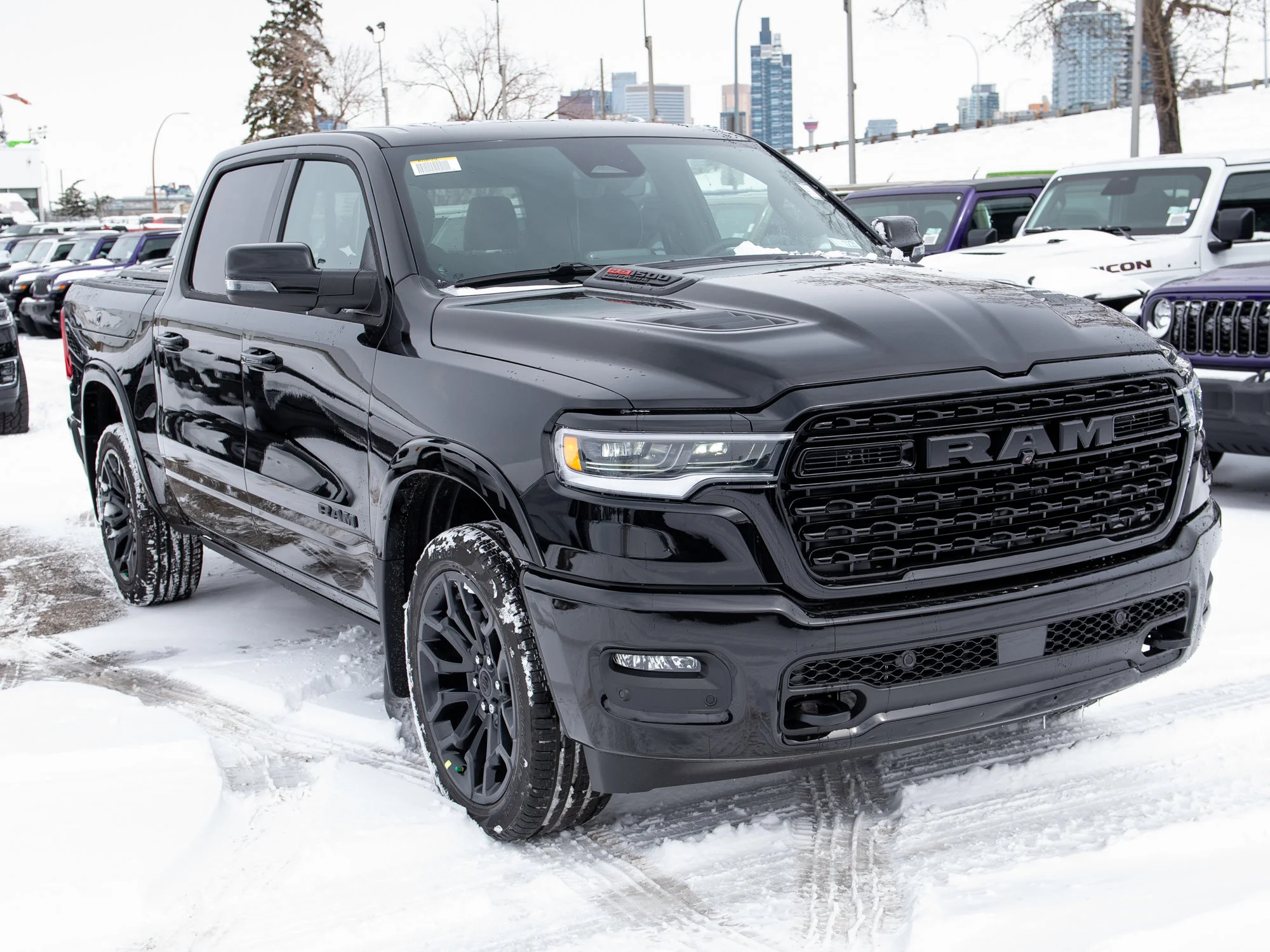 New 2026 Black RAM Limited* image 11