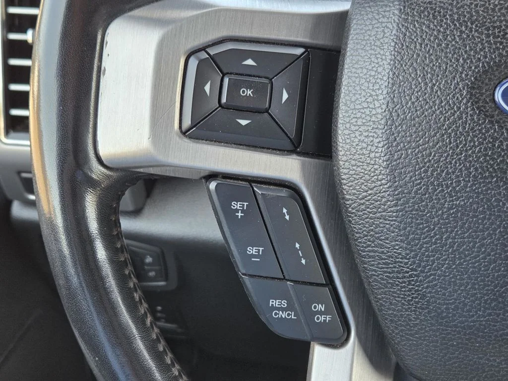 Used 2019 Magnetic Ford Platinum image 20
