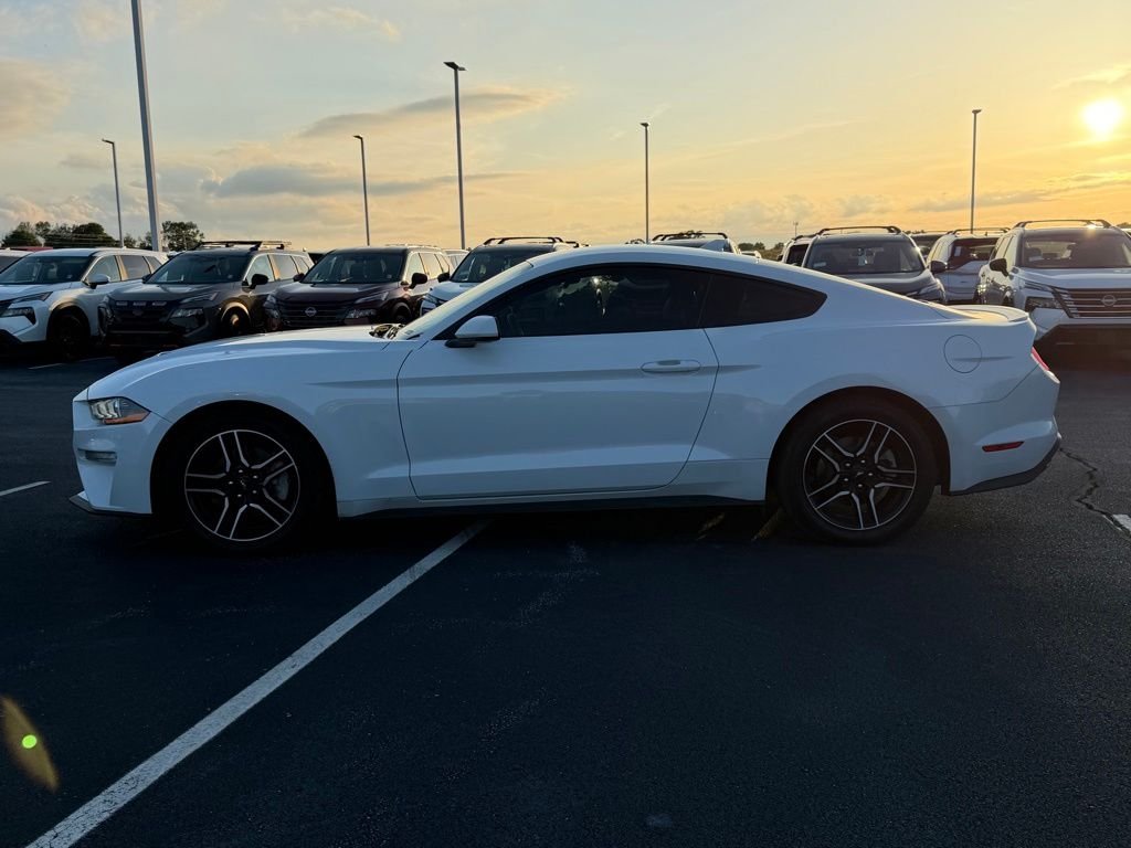 Used 2023 White Ford EcoBoost Premium image 8