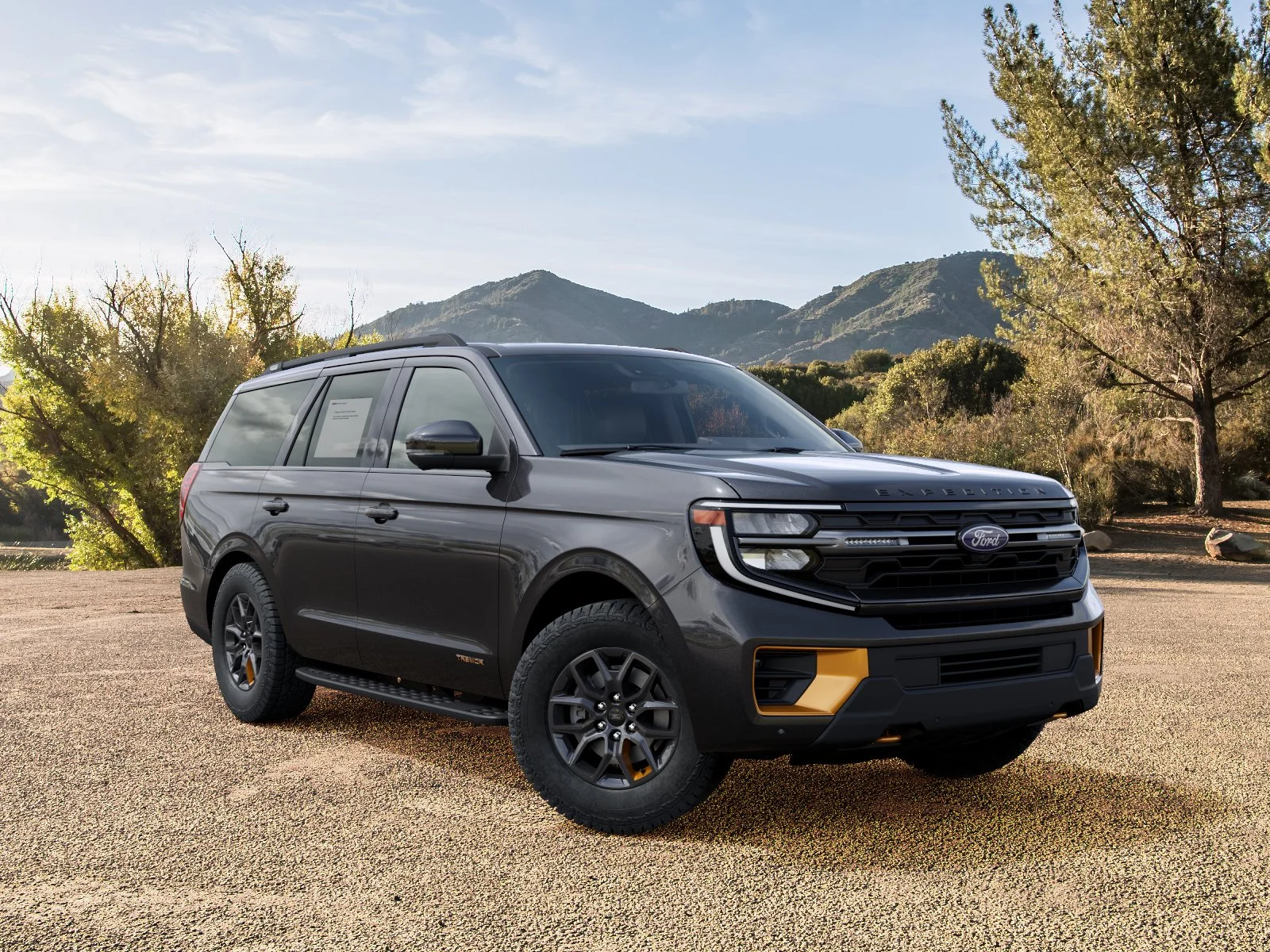 New 2027 Dark Matter Gray Metallic Ford Tremor® image 28