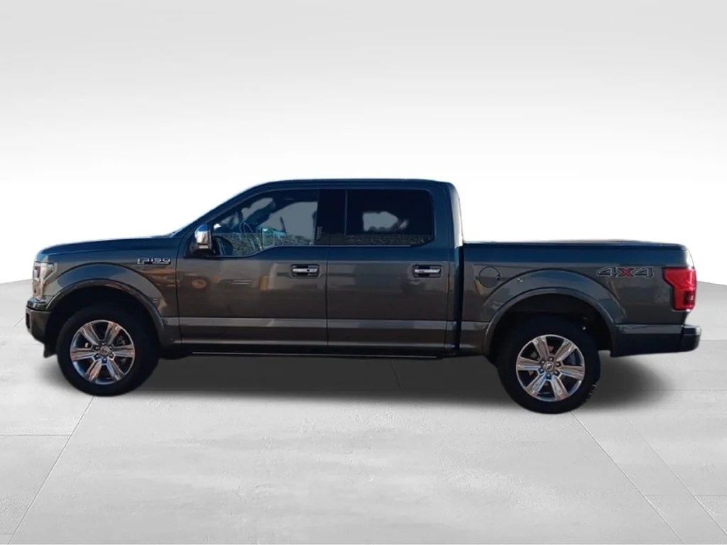 Used 2018 Magnetic Ford Platinum image 4