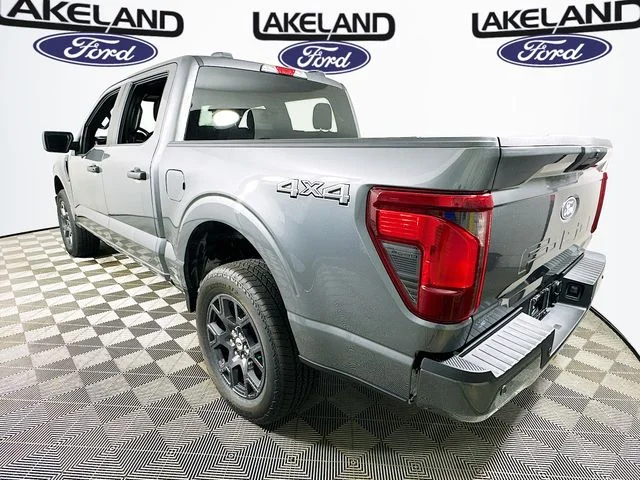 New 2026 Gray Ford STX image 6