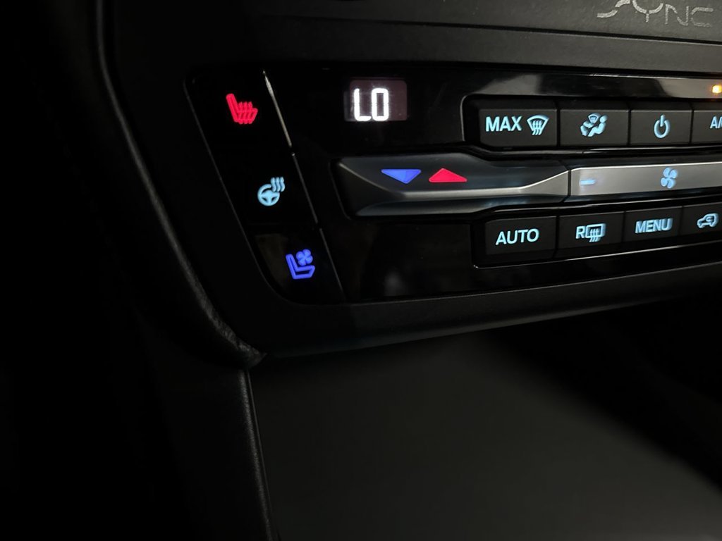 Used 2020 Black Metallic Ford Platinum image 34